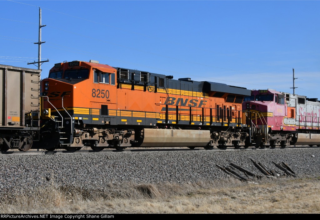 BNSF 8250 Roster shot.